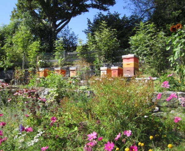 files/images/Apiculture_douce_2019.jpg
